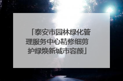 泰安市园林绿化管理服务中心精修细剪护绿焕新城市容颜